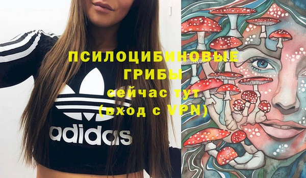 мдпв Баксан